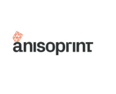 Anisoprint